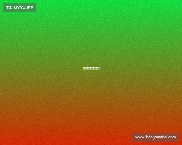 南美足球比赛在哪个国家