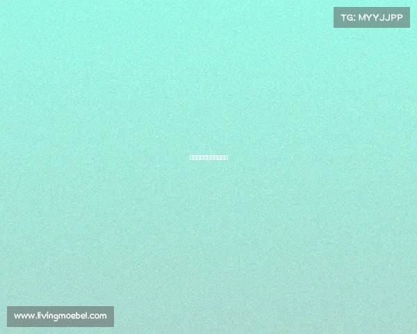 国内体育赛事赞助的方案