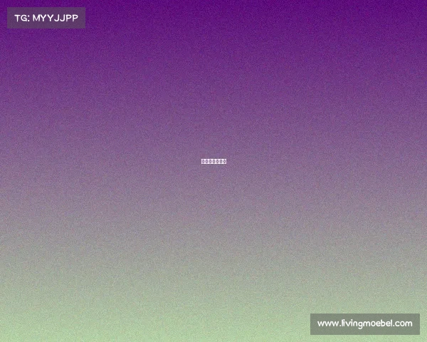 河北赛事直播网