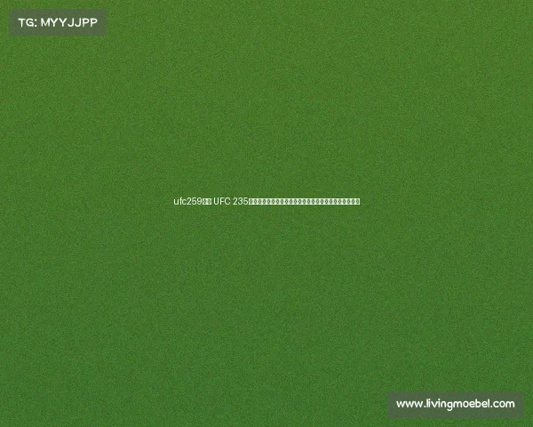 ufc259比赛 UFC 235巅峰对决乔恩琼斯与安东尼史密斯争夺轻重量级王座之战
