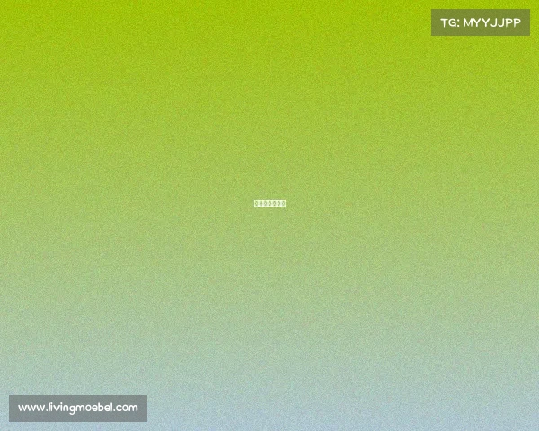 今年龙舟赛视频