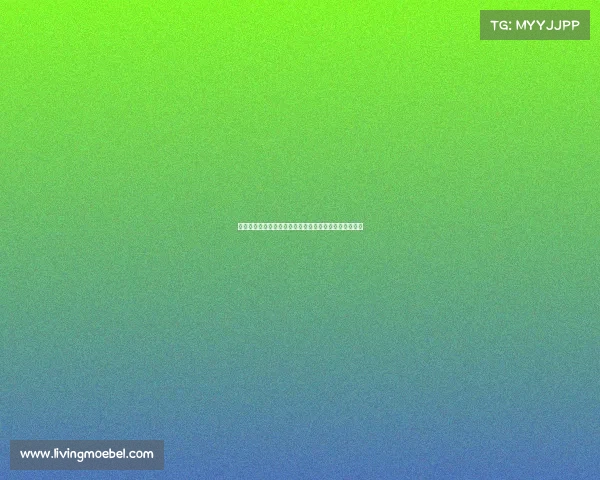 坎布尔最新赛事火热开战精彩对决高潮迭起球迷期待已久