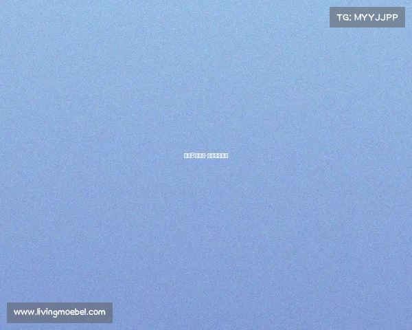 女排8月赛事-女排八月赛事